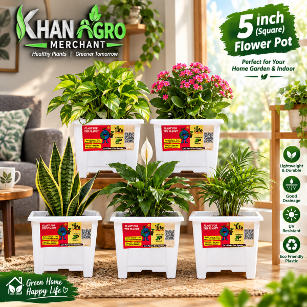 5 inchi flower pot 5 pcs set