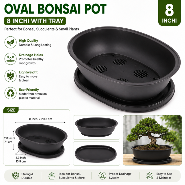 Oval bonsai pot 8 Inchi with tray