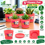 5 Inch Flower Pot with Tray – 5 Pcs Set