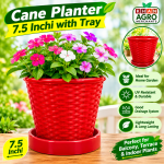 Cane Planter 7.5 Inch with Tray – 1 Pc