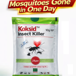ককসিড ১ পেকেট (মশা নিমিশেই  ধংশ)