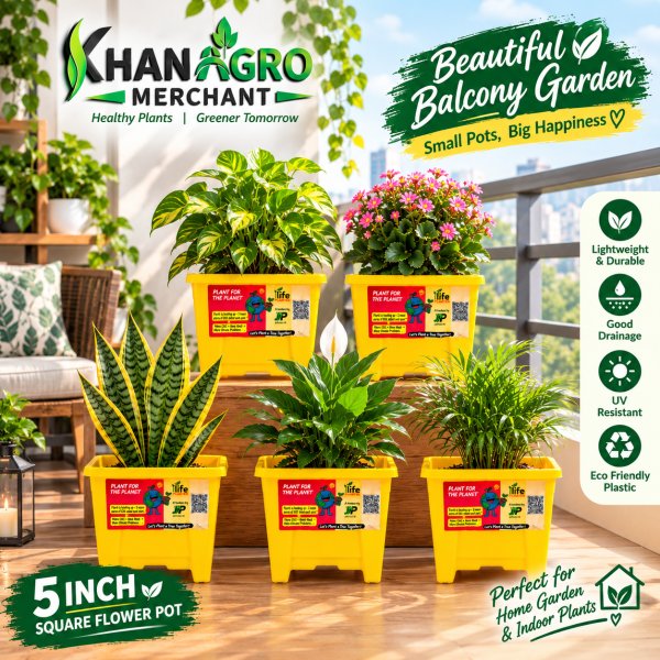 5 Inch Square Flower Pot – 5 Pcs Set