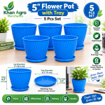 5 Inch Flower Pot with Tray – 5 Pcs Set