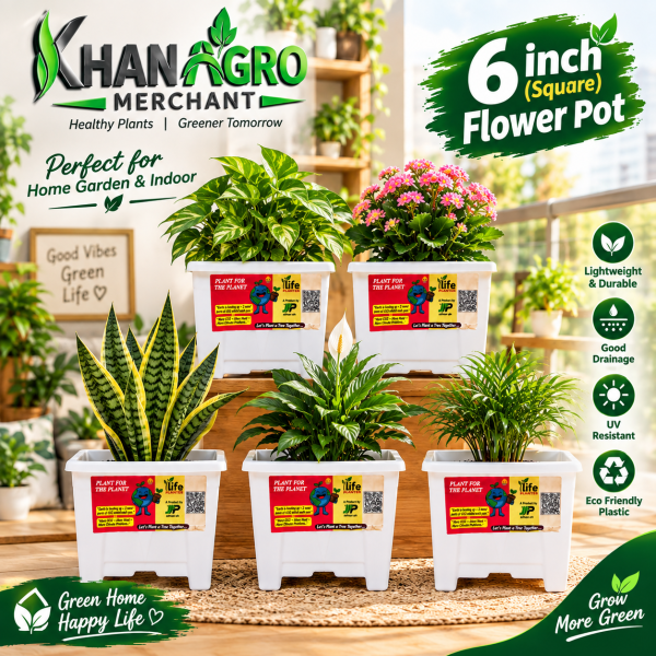 6 inchi flower pot 5 pcs set