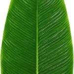 10 Pcs Artificial Leaf Fresh-keeping DIY Weather-resistant Decorative Beautiful Faux Banana Leaf