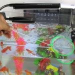 Aquarium Daphnia Removal Net Cleaning Tool Small Round Fish Net 1 pcs