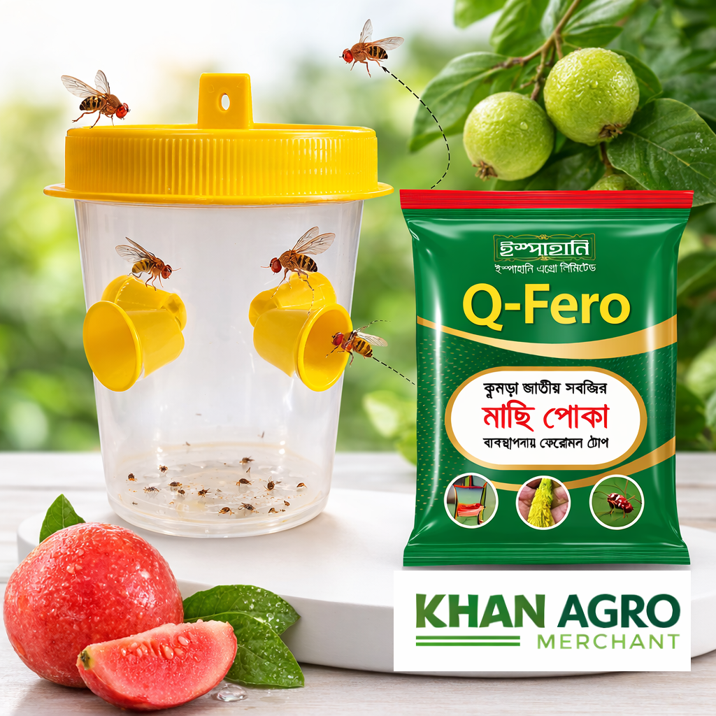 Q-Fero Fruit Fly Pheromone Trap Set (Jar + Lure)