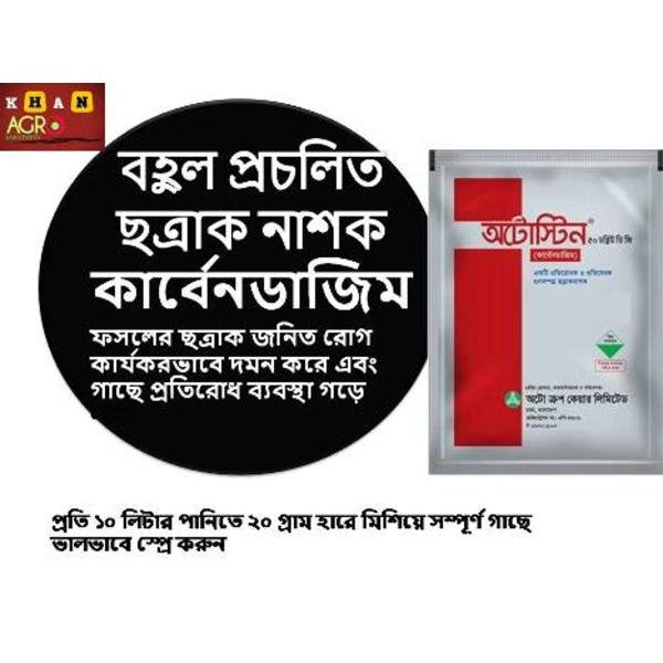 Carbendazim - Systemic Fungicide 25g