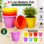 8.5 cm Modern Flower Pot – 8 Pcs Mixed Colour Set