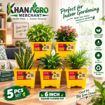 6 Inch Square Flower Pot – 5 Pcs Set