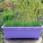 Window Boxes Planter 17 Inches