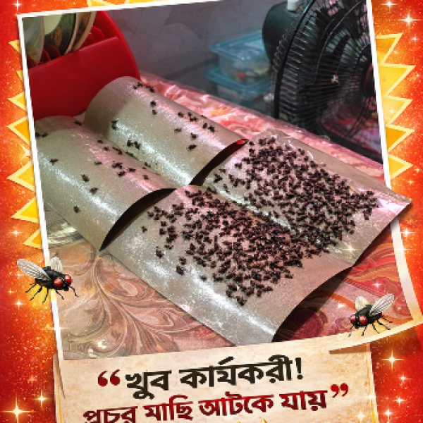 মাছি মারার স্টিকার ৪ পিস