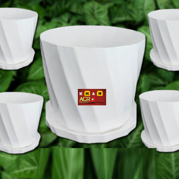 Camellia 8 Inchi planter white with tray 50 pcs