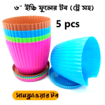 6 Inchi Color tob 5 Pcs Mix color with tray