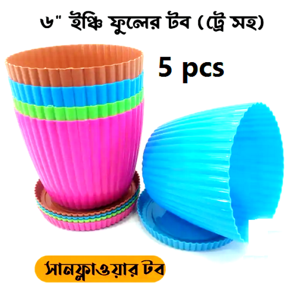 6 Inchi Color tob 5 Pcs Mix color with tray