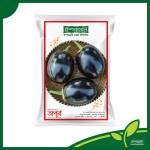 Brinjal round shape seeds-Apurba mini pack