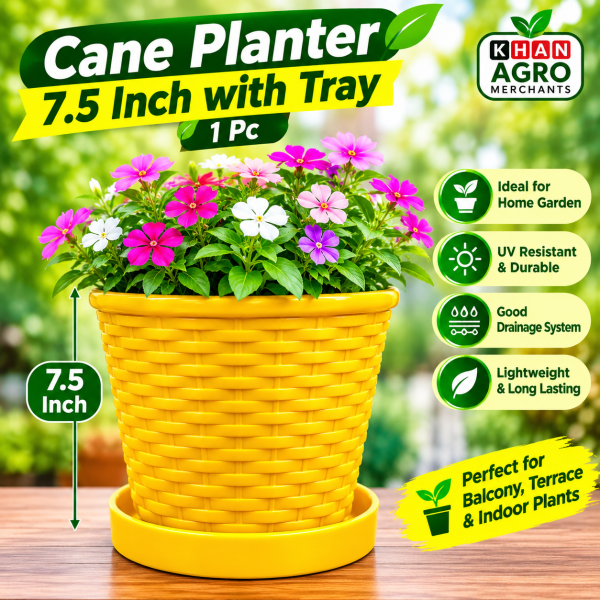 Cane Planter 7.5 Inch with Tray – 1 Pc