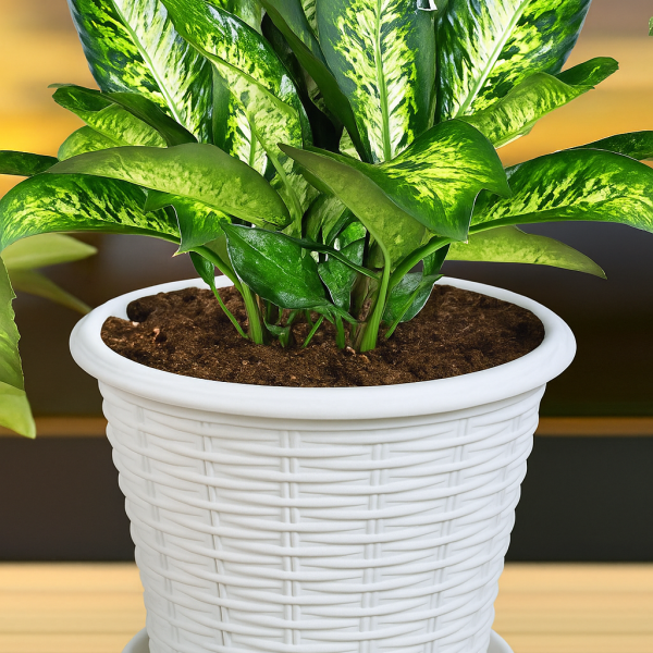 Rattan Flower Tub With Tray 8" 1 Pcs