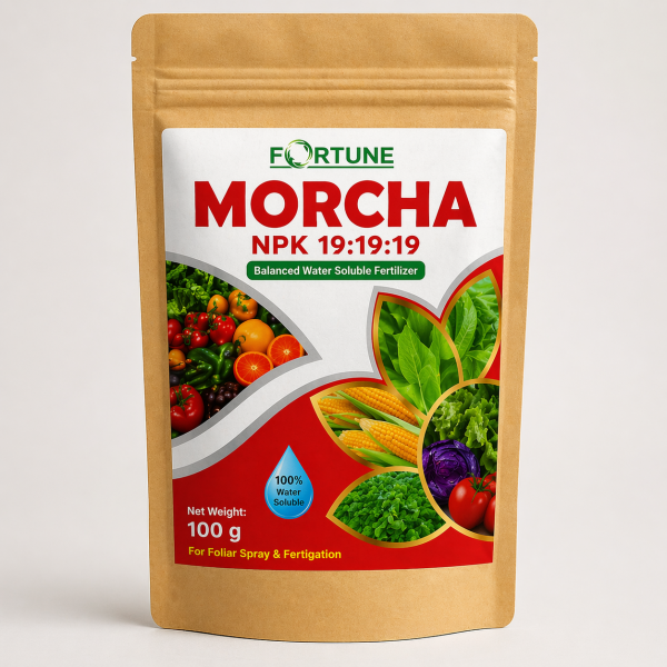 NPK 19:19:19 (Balanced fertilizer) 100g