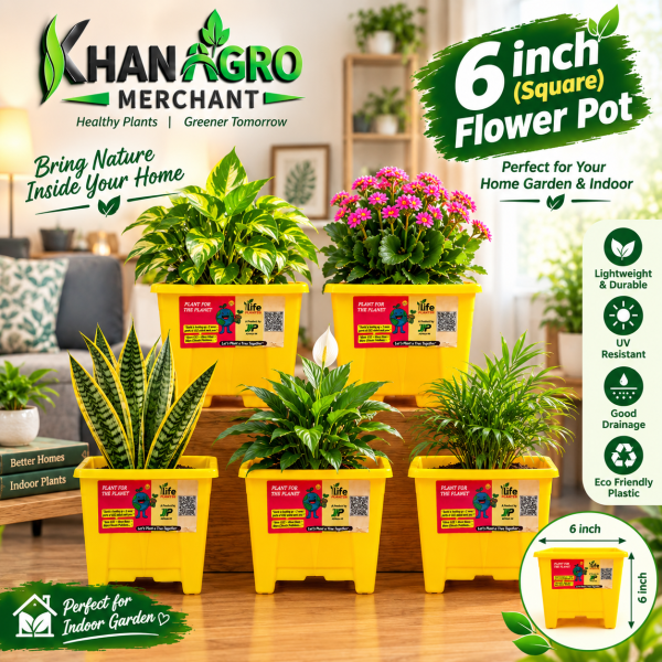 6 Inch Square Flower Pot – 5 Pcs Set