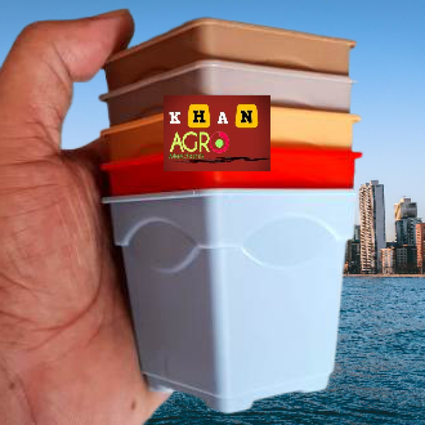 Thai Planters 2.5 inchi 10 pcs