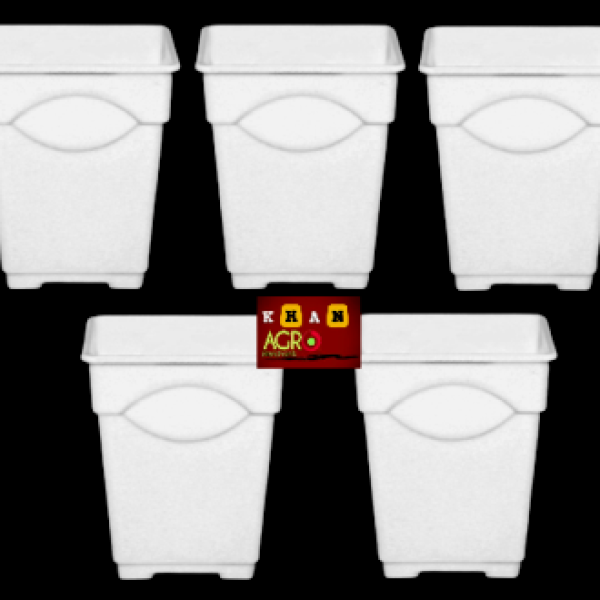 3 Inchi White Thai Planter 5 pcs