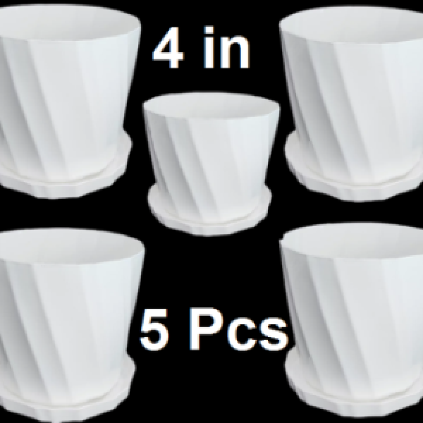 Camelia Tob 4 inchi white 5 Pcs