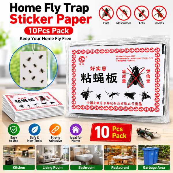 Home Fly Trap Sticker Paper 10Pcs pack