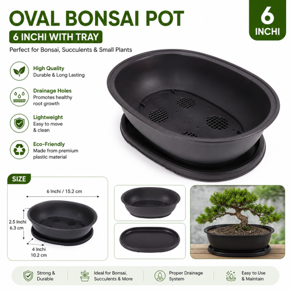 Oval bonsai pot 6 Inchi with tray