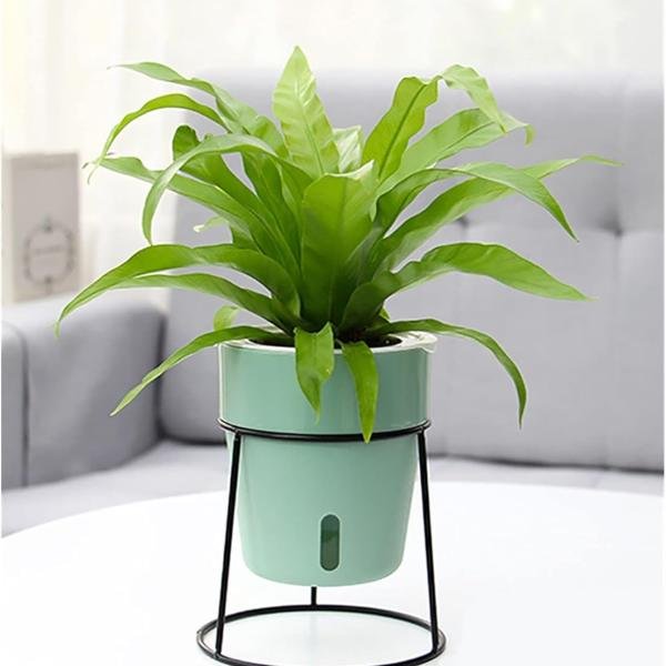 Nordic Flowerpot Simple Iron Frame Stand Plastic Lazy Self-absorbent Flower Pots 1Pcs Nordic Flowerpot Simple Iron Frame Stand Plastic Lazy Self-absorbent Flower Pots 1Pcs