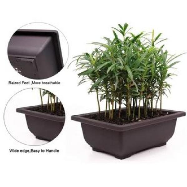 Bonsai Pots 1 Pcs(6 Inchi)