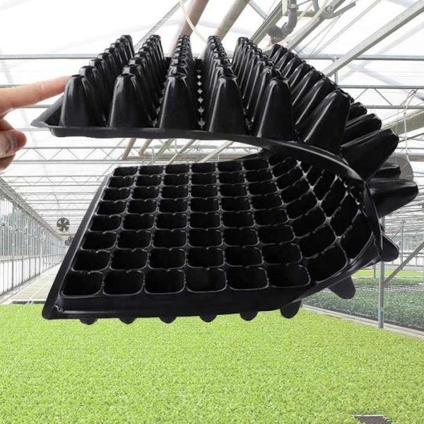 Seed Tray 105 cells