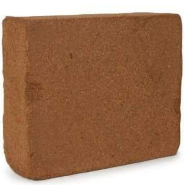 Coco Peat Block 2 KG Import Dry block