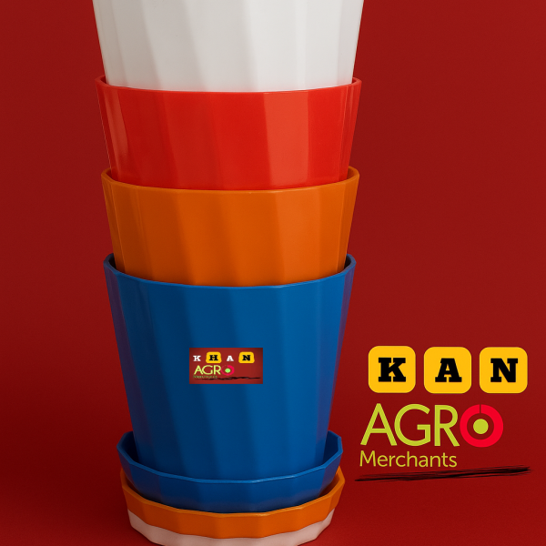 Camellia Planter 5 pcs virgin 4 inchi with tray Multycolor Flower tob-tub