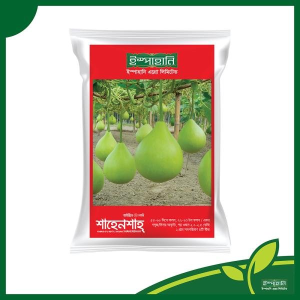 Round Lau seeds-Shahenshah mini pack