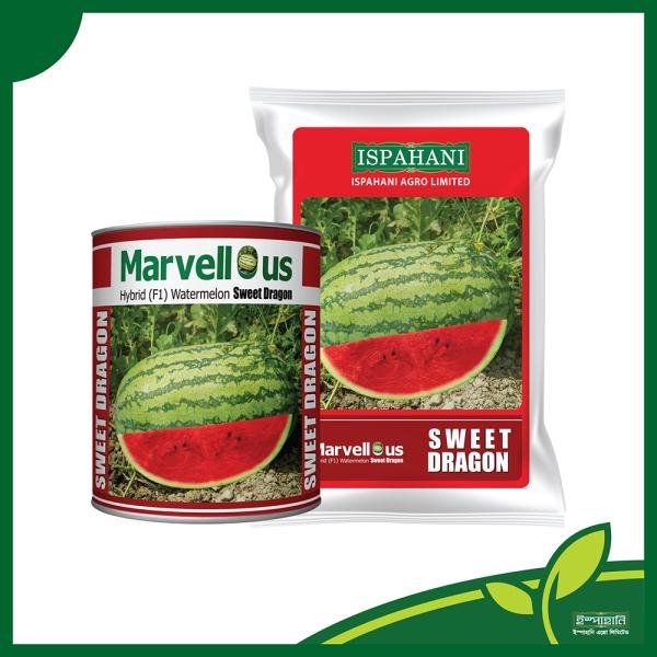 Watermelon seeds Sweet Dragon mini pack
