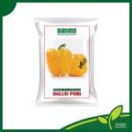 Capsicum seeds-Halud Pori mini pack