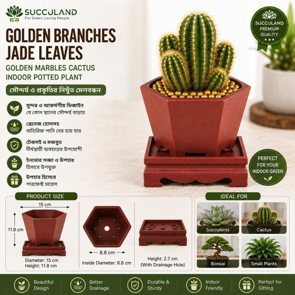 Indoor Decorative Flower Pot
