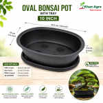 Oval bonsai pot 10 Inchi with tray