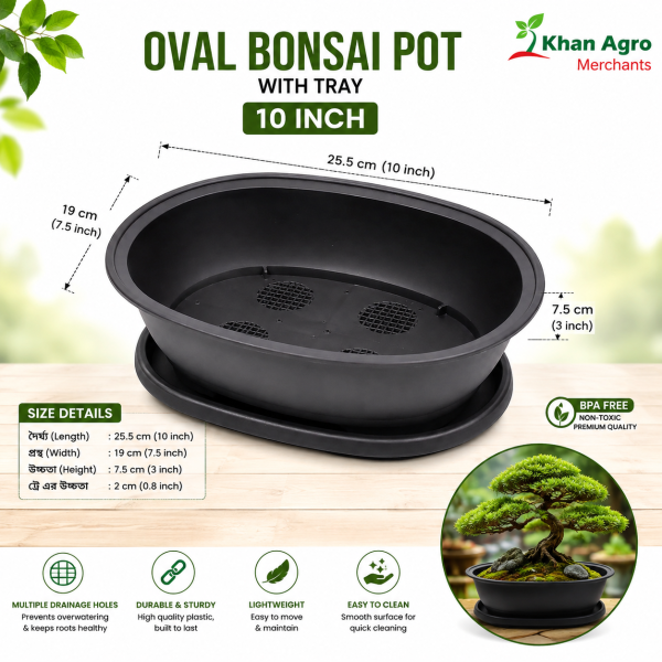 Oval bonsai pot 10 Inchi with tray