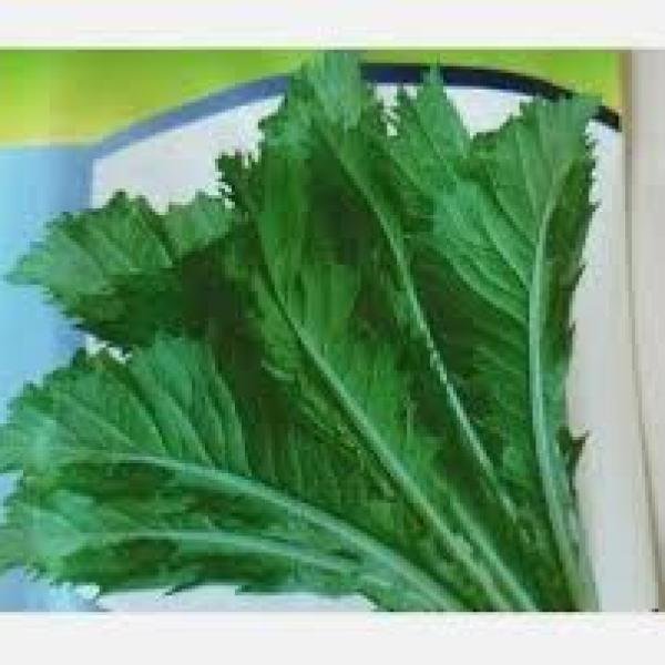 Lai Pata Sakলাই শাক