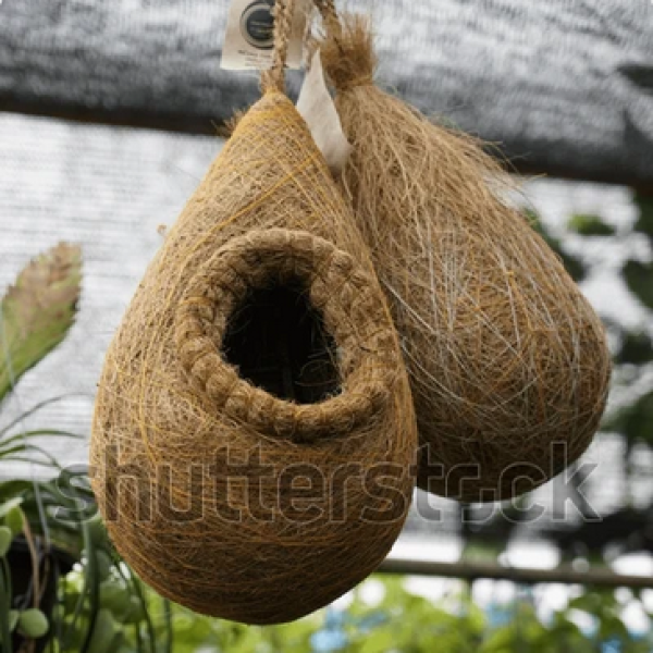 Coir Craft Bird Nest for for cage and Balcony Birds Sparrows Finches breeding