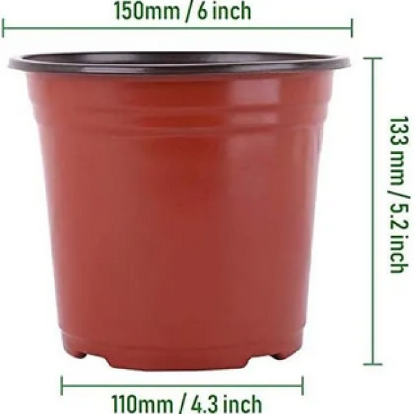Nursery Pots 10 Pcs 6 Inch