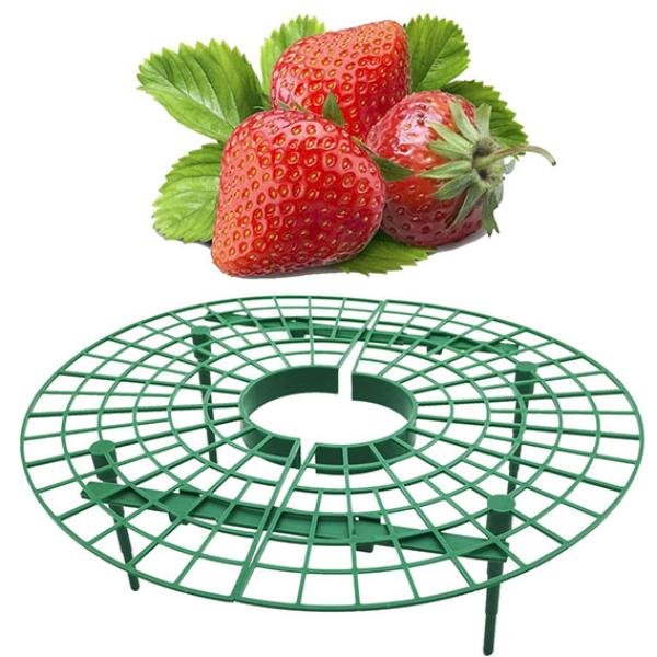 Strawberry Support Frame Durable Weatherproof Plastic Support for Fruit Garden Plants